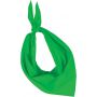 Kup Fiesta bandana, Green